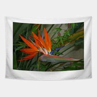 Bird of Paradise Flower Tapestry