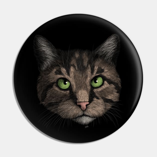 Brown Tabby Cat Pin by Walking in Nature