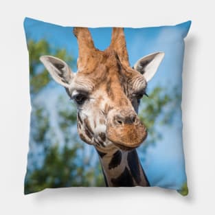 Close up photo of a Rothschild Giraffe head Pillow