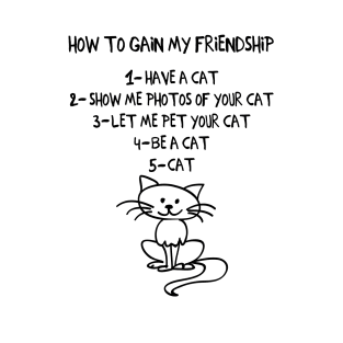 How To Gain My Friendship T-Shirt