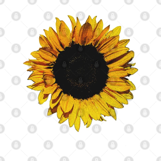 Sunflower by agnesewho