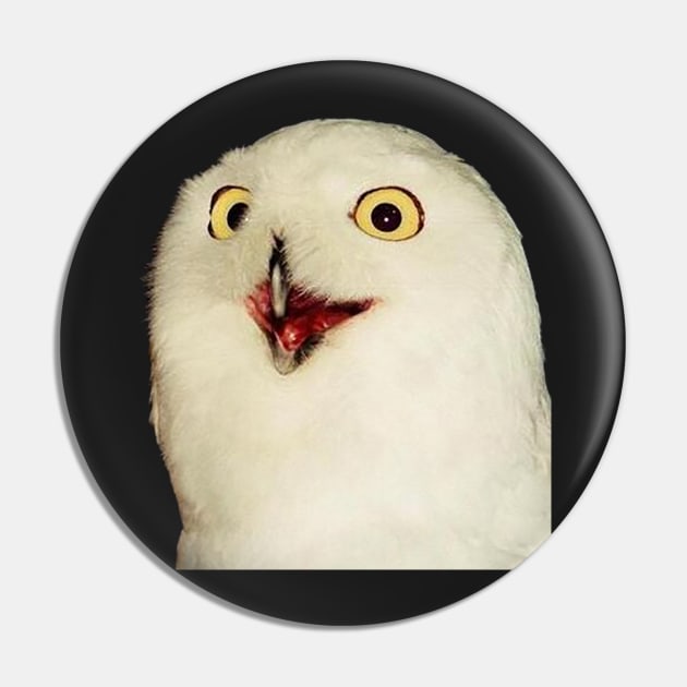 O RLY? Owl Pin by FlashmanBiscuit