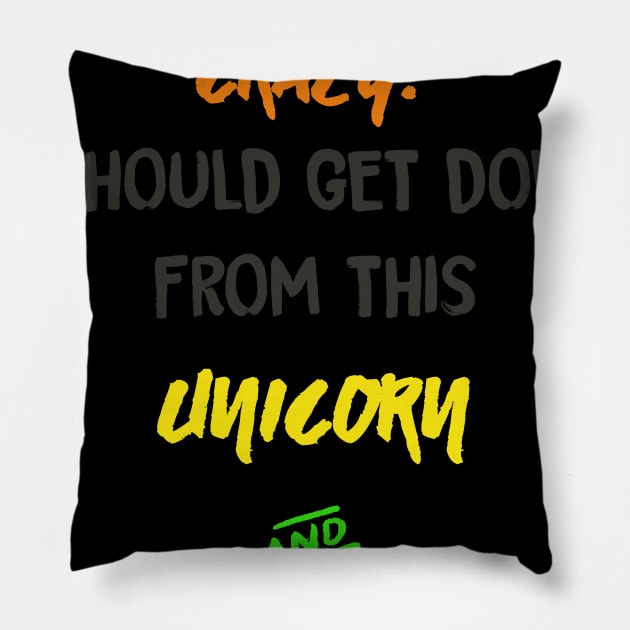 Me? Crazy? I should get down from this Unicorn and Slap you Pillow by MADesigns