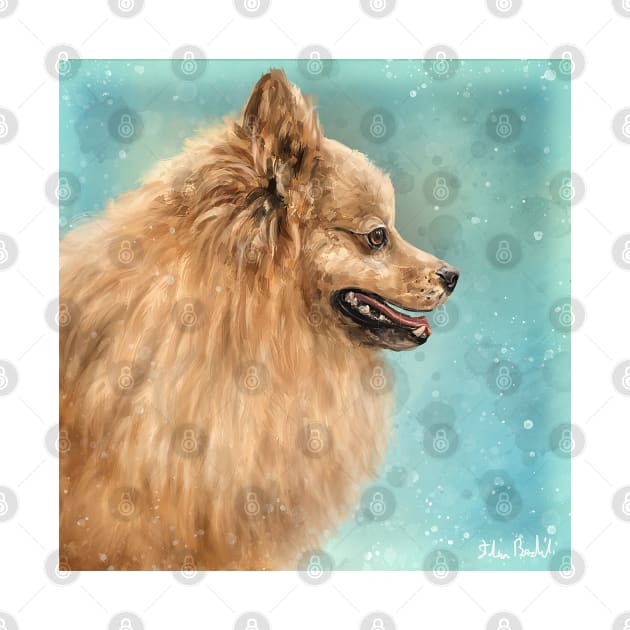 Painting of a Pomeranian Do with Golden Fur on Turquoise Background by ibadishi
