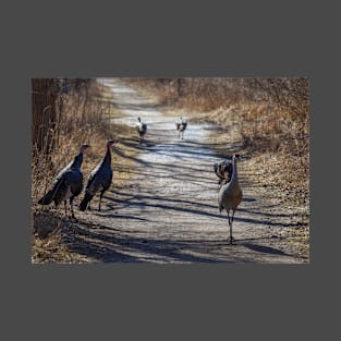 Turkey & a Sandhill Crane T-Shirt