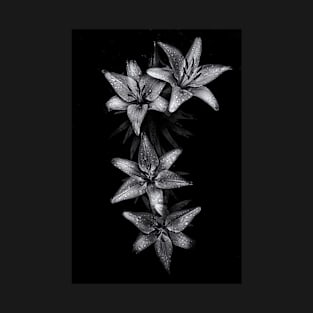 Backyard Flowers In Black And White 7 T-Shirt