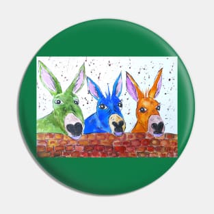 Three Quirky Colourful Donkeys Pin