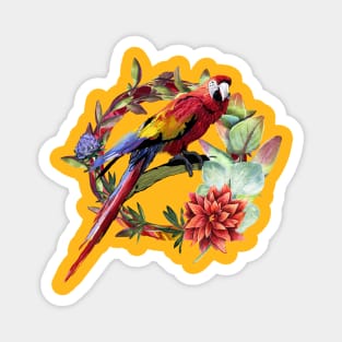Macaw from Colombia Magnet