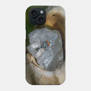 Enchanted Bear Skull Phone Case