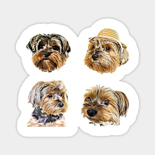 Cute Yorkshire Terrier Yorkie faces Magnet