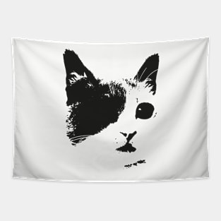 Pirate Cat Tapestry