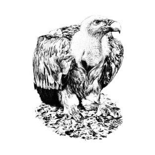 Vulture T-Shirt