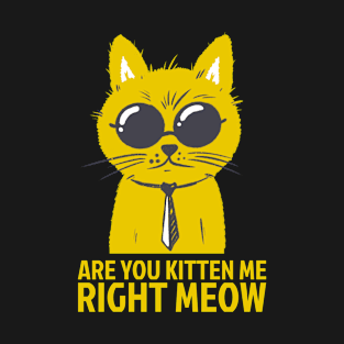 are you kitten me right meow cat kitty sun glasses kidding T-Shirt