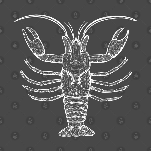 Crayfish or Crawdad - hand drawn detailed animal design by Green Paladin