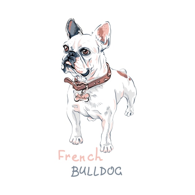 Domestic dog French Bulldog breed by kavalenkava