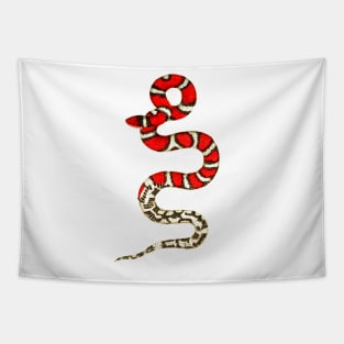 serpent,cobra,reptile,viper,venom,lizard,rattlesnake,king cobra,dragon,hydra,poison,venomous,plumber's snake,pythonidae,pythons,auger,python,squamata,serpentine,worm,big,ophidian,rattlesnakes,medusa,snakebite Tapestry