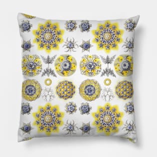 Macro Sea Creatures Amoeba Pillow