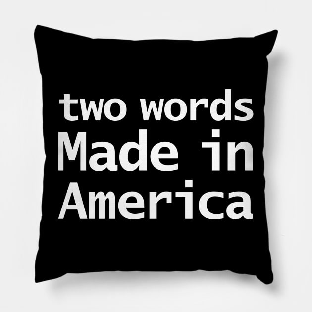 Two Words Made In America Joe Biden Memes Pillow by ellenhenryart