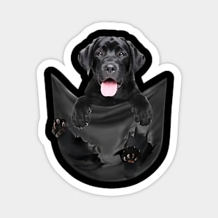 Labrador retriever with love Magnet