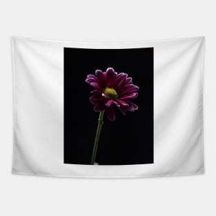 Daisy Flower Profile Tapestry