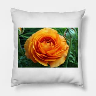 Orange flower Pillow
