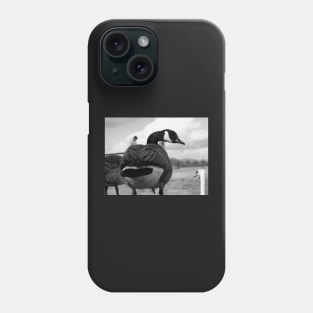 Canadian Goose stare Phone Case