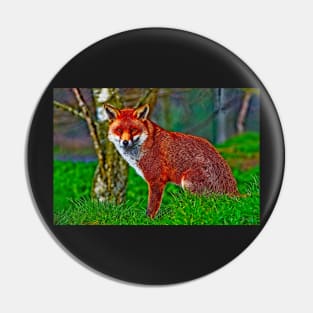 Arty Mr Red Fox Pin