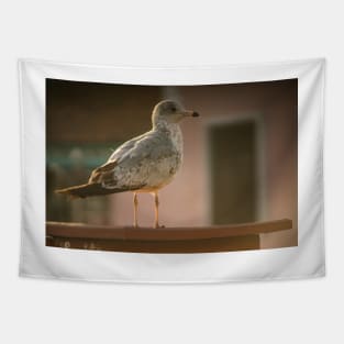 Beach Bird Tapestry