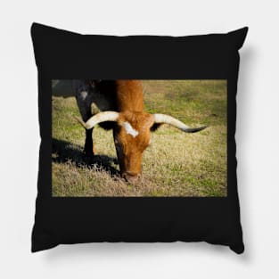 Longhorn Cow In Pasture Pillow