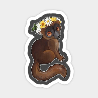 Brown lemur Magnet