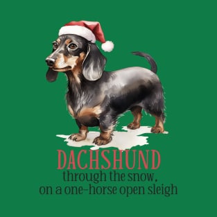 Dachshund Through The Snow Pun T-Shirt