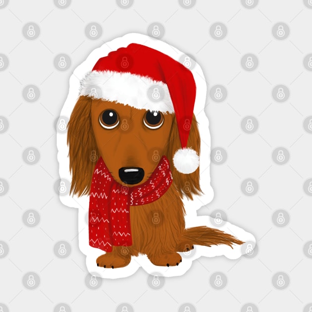 Longhaired Dachshund with Santa Hat Cute Christmas Wiener Dog Magnet by Coffee Squirrel