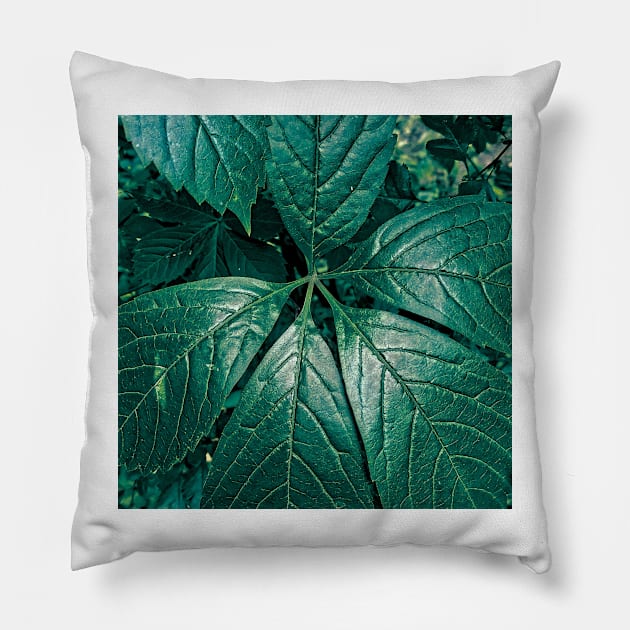 Big Green Leaves Pillow by DesignMore21