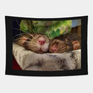 Rat Snoots Tapestry