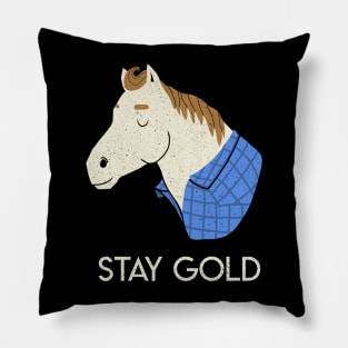 Pony Boy Pillow