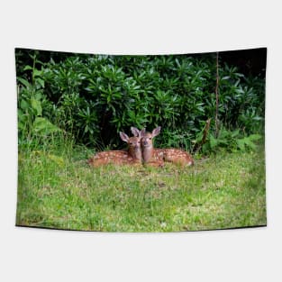 Twin Fawns Tapestry