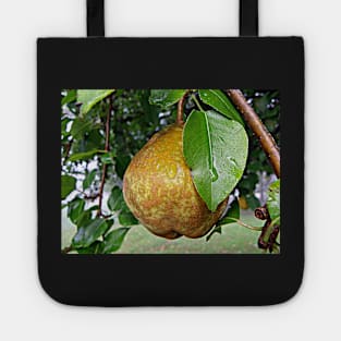 Pear & Raindrops Autumn Fruit Tree Photograph, Beautiful Nature Fall Art Tote