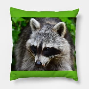 Raccoon Pillow