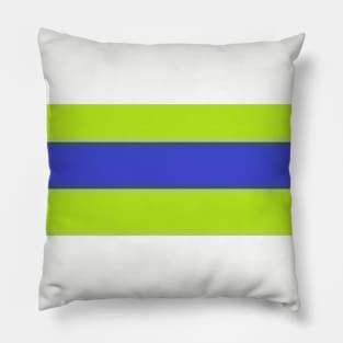 Green and Blue Flag Pillow