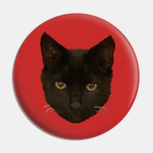 Stealthy Black Cat Pin