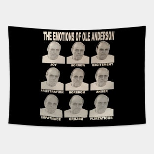 ole anderson emotion Tapestry