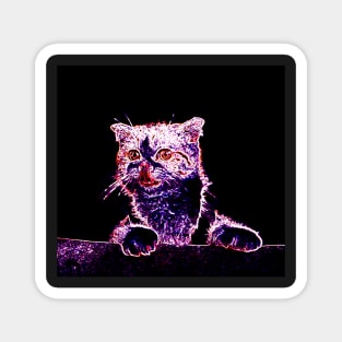 Curious Cat Neon Styled Magnet