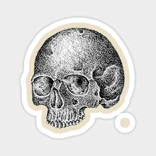 dark skull Magnet