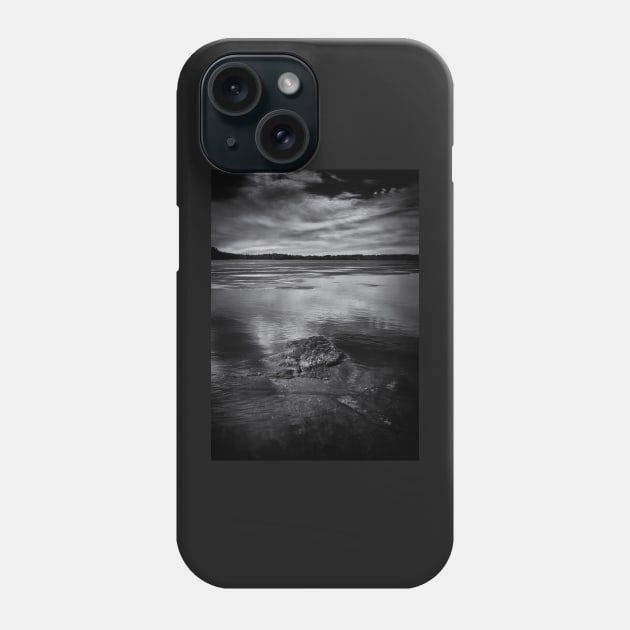 Gullwing Lake No 3 Phone Case by learningcurveca