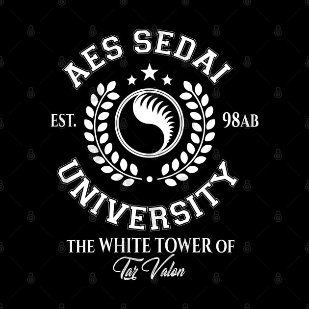 school to be aes sedai by whatyouareisbeautiful