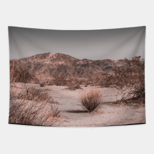 Desert Mountain from Joshua Tree National Park Photo V2 Tapestry