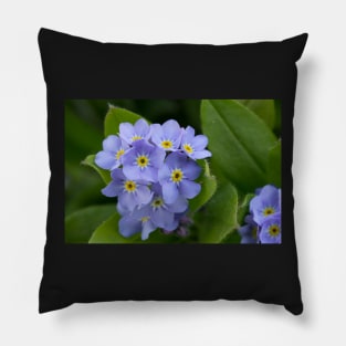 Forget Me Not Pillow