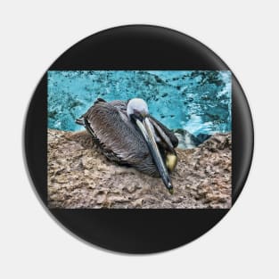 Resting Pelican Pin