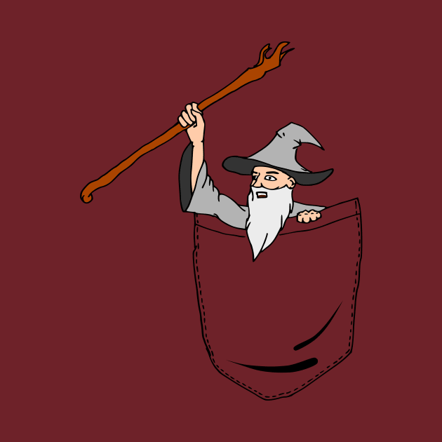 Pocket Wizard by Bruce Brotherton