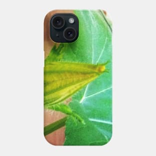 Pumpkin Blossom Phone Case